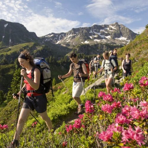 Activities Randonée